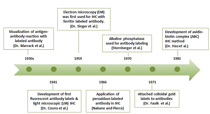 history of IHC